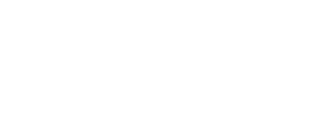 The Insurance Institute of Northern Ireland